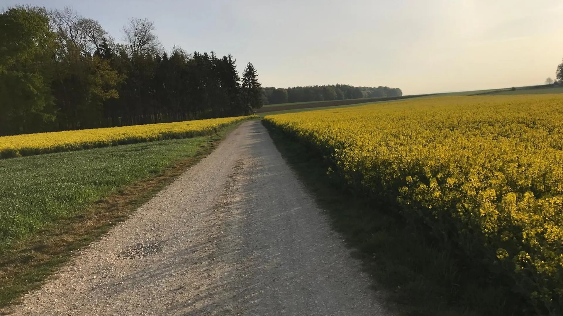 Klosterberghaus - Kontaktloser Check-in Elchingen 0*,  Deutschland
