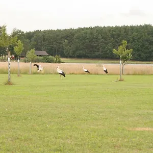 Vakantiehuis Haeusla, Dannberg